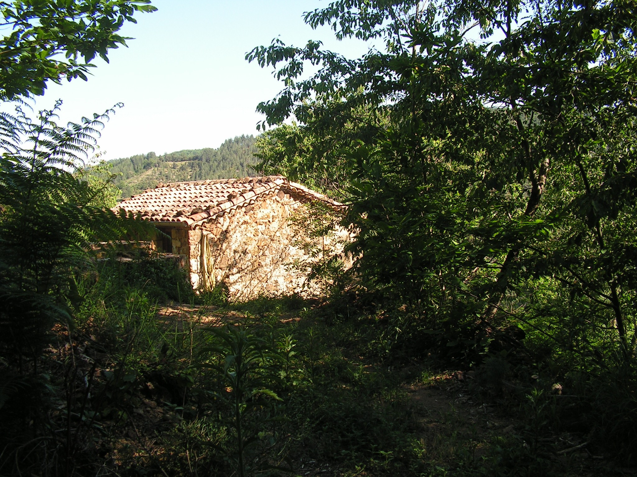 GreenGo Roulotte et Grangette des Lamas