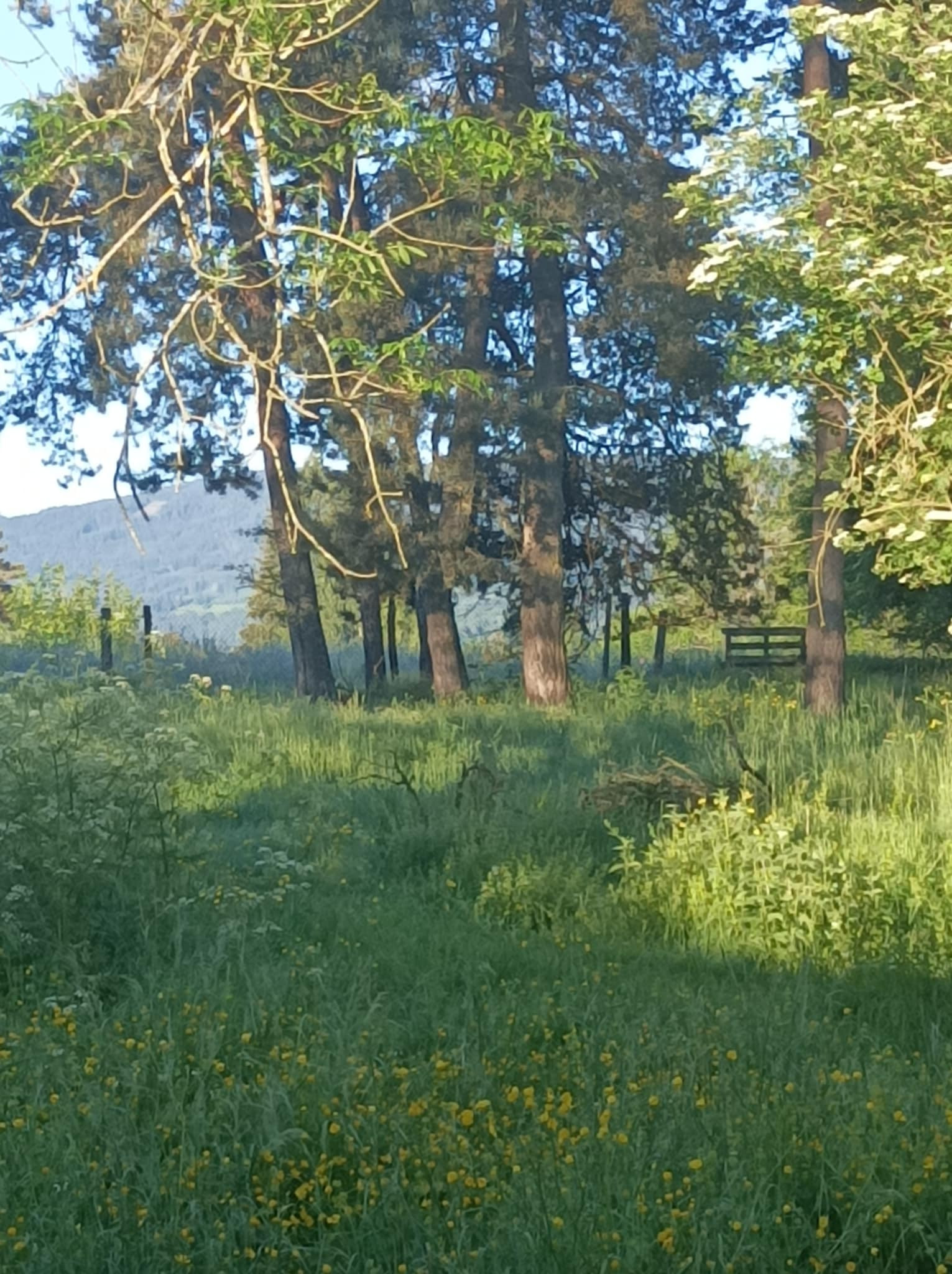  Loire À la campagne