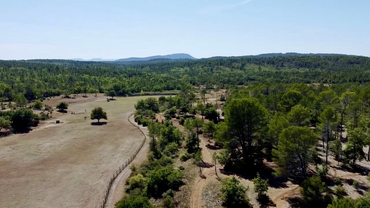 GreenGo Cabane et suite dans un ranch provençal