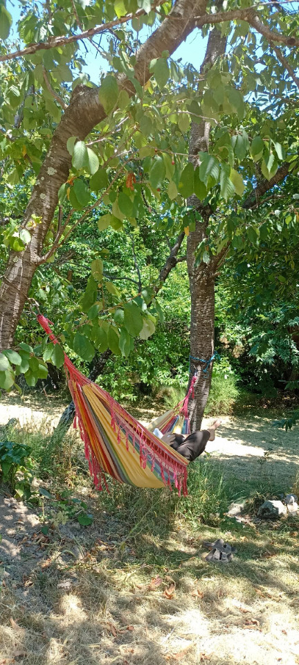 GreenGo location vacances écoresponsables