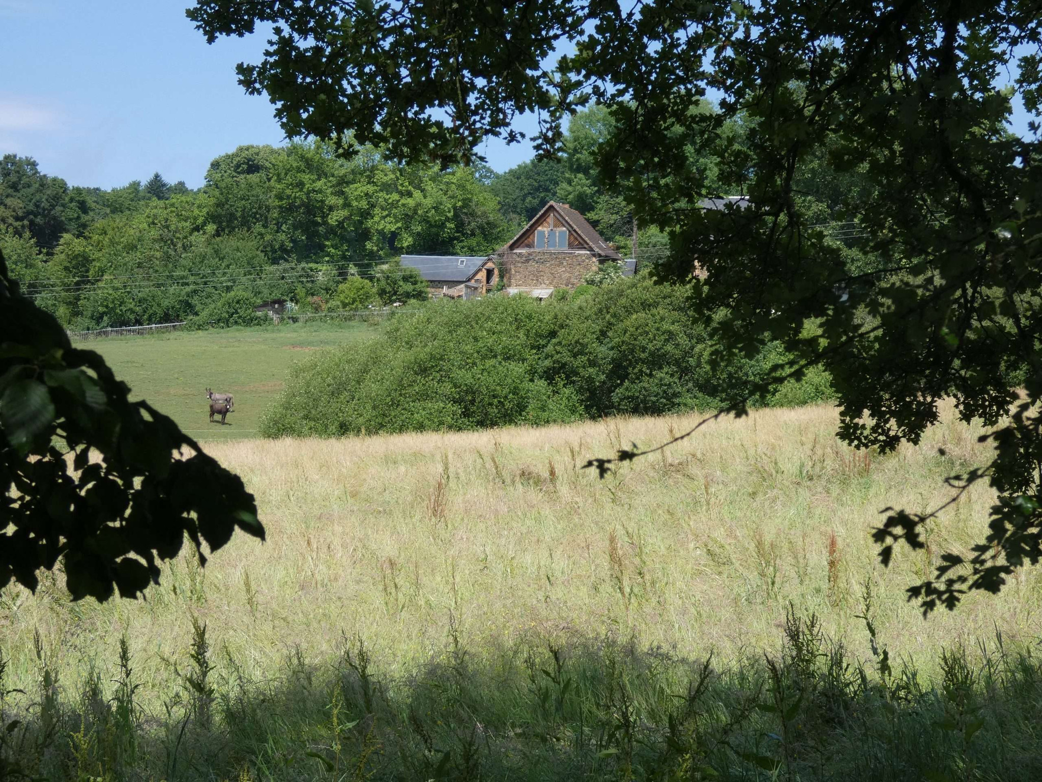GreenGo Une expérience de slow tourisme en Limousin