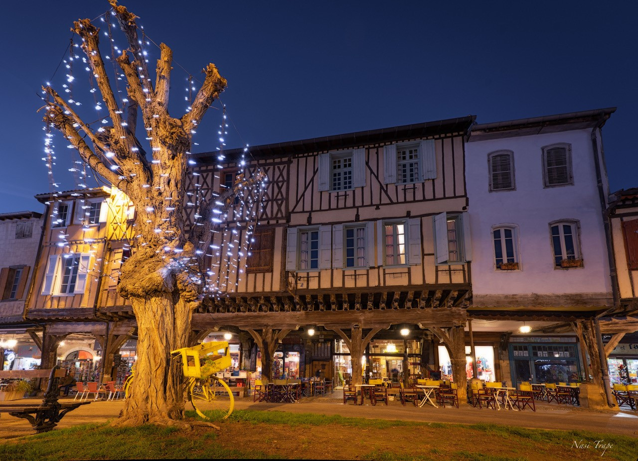 GreenGo Location Occitanie