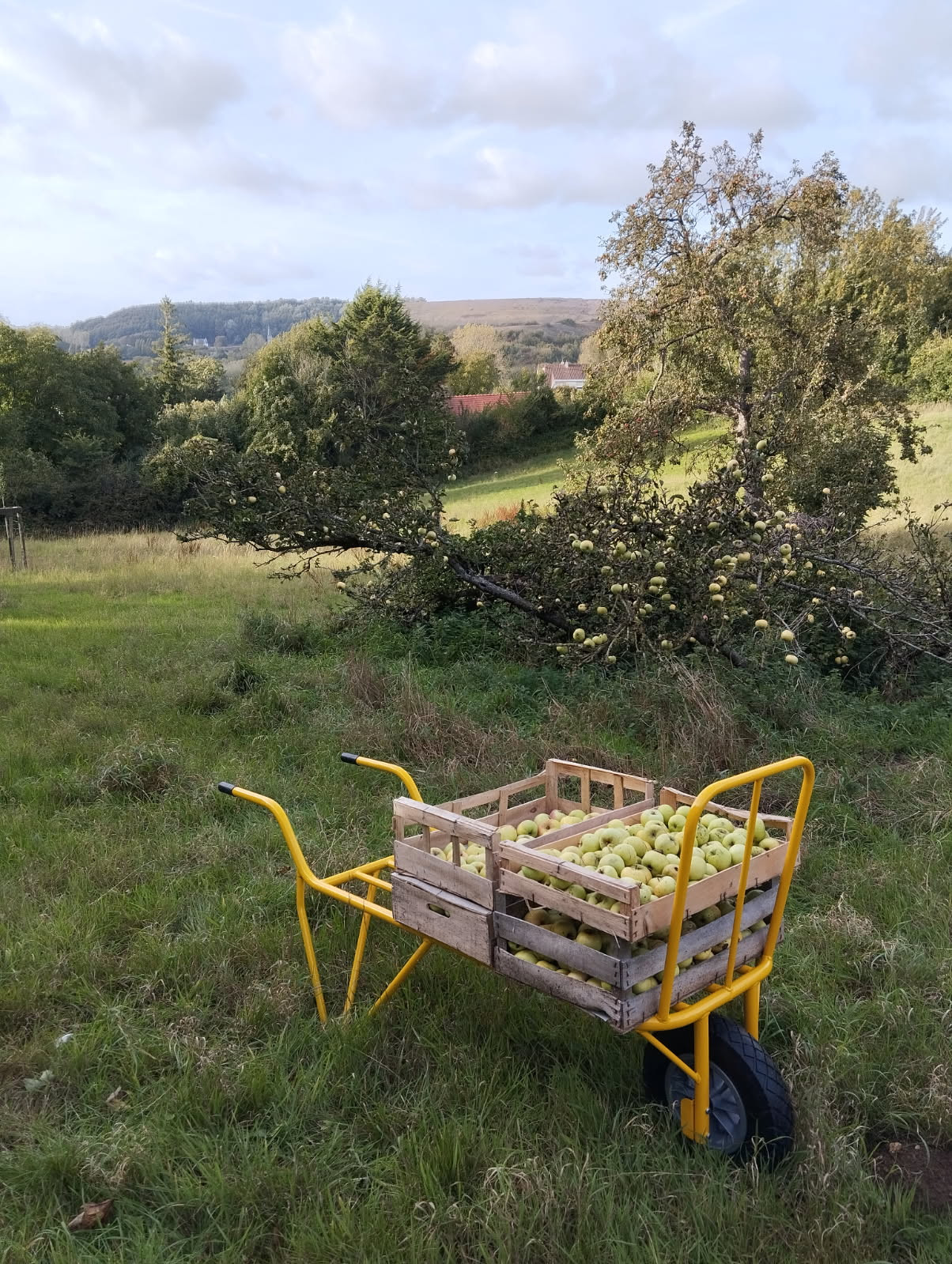 GreenGo location vacances écoresponsables