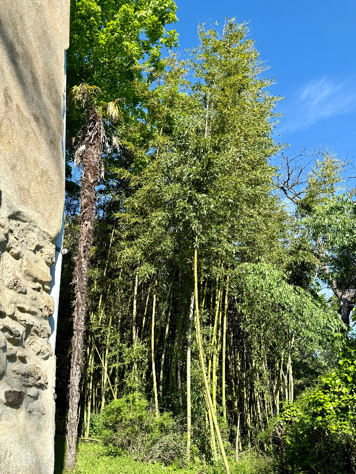 GreenGo Gîte Occitanie Évasion