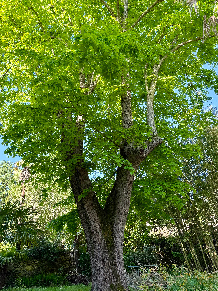 GreenGo location vacances écoresponsables