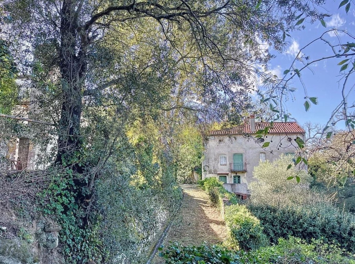 Location Pyrénées-Orientales À la campagne