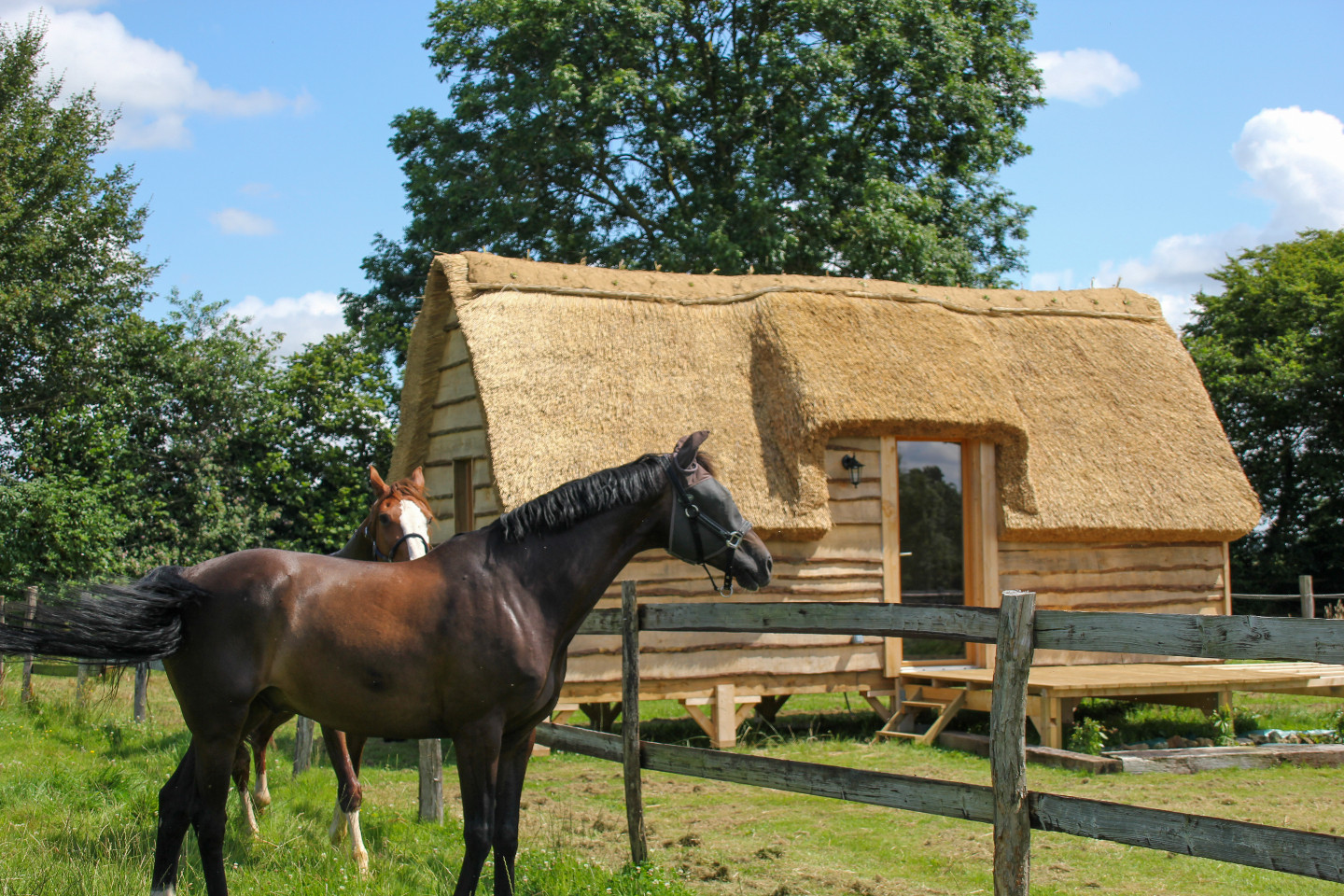 Le Haras des Arts