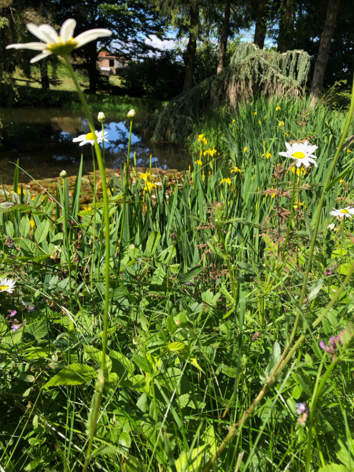 Bulle Loire Glamping