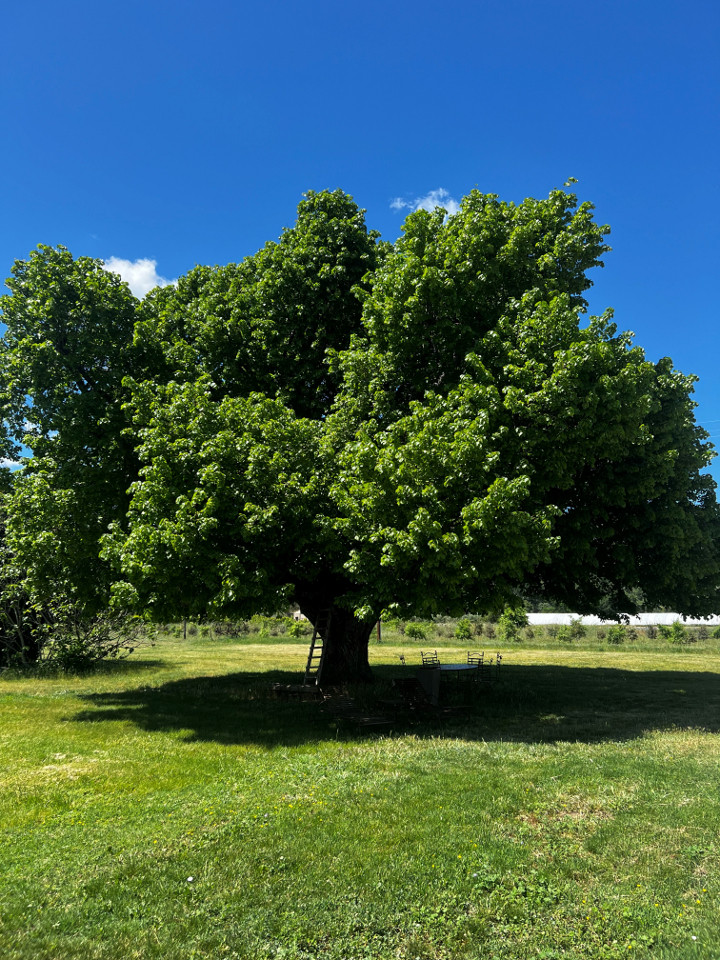 GreenGo Chambre d’hôtes Provence-Alpes-Côte d'Azur Évasion