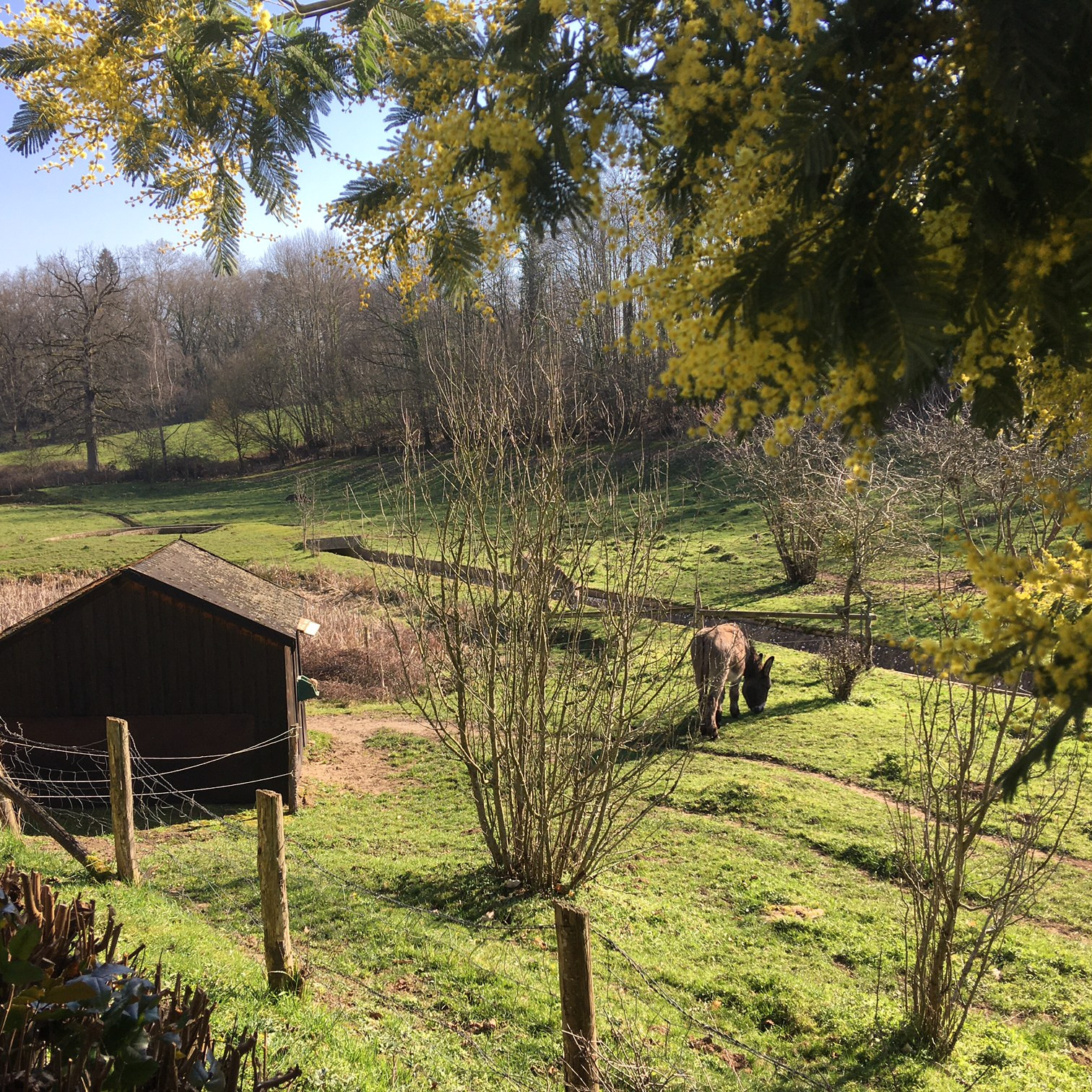 Canicule? du 25 juin au 1er juillet, opération verdure, et fraicheur, promos à partir de 2 nuits!