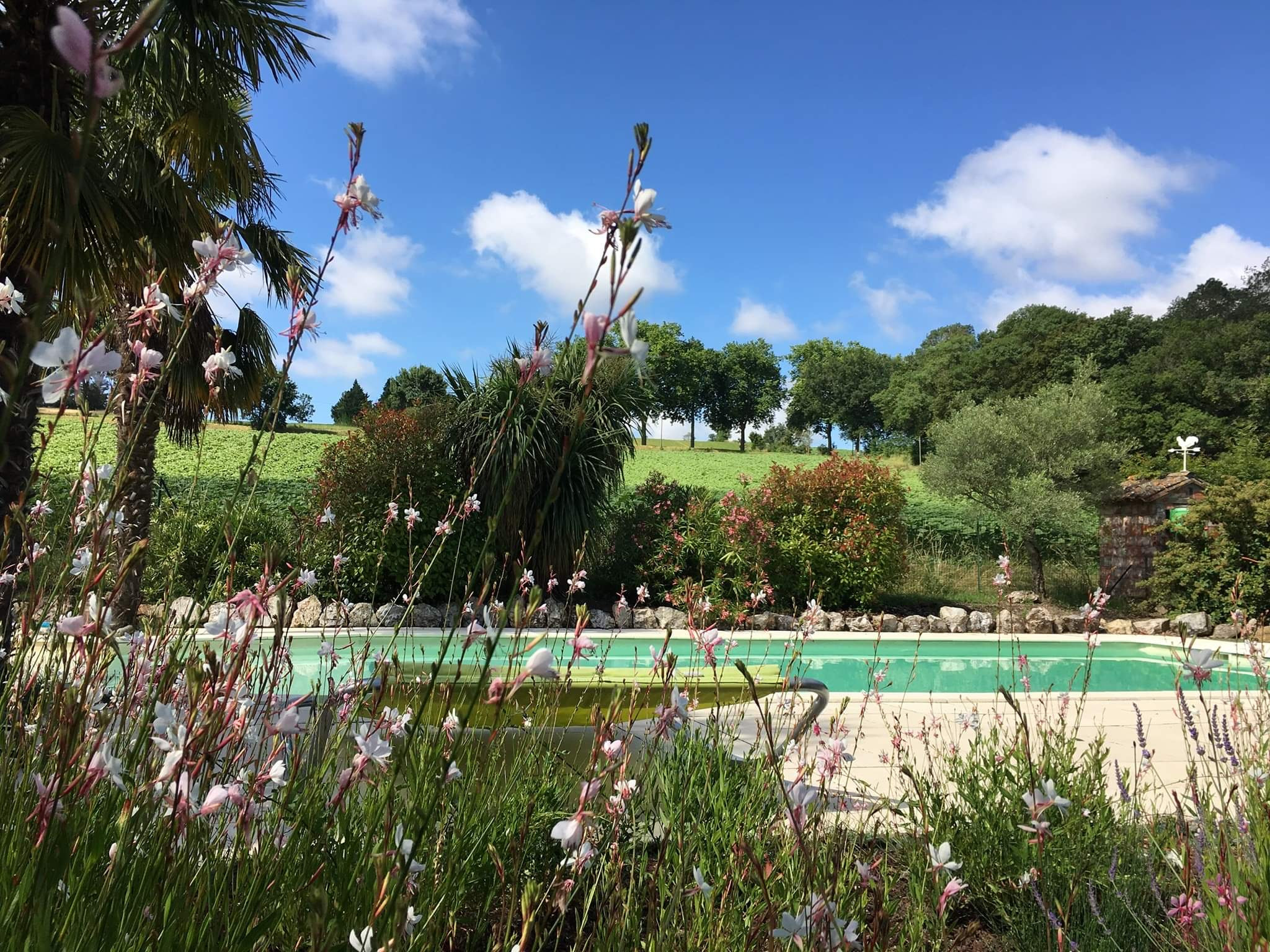 GreenGo Gîte Occitanie À la campagne