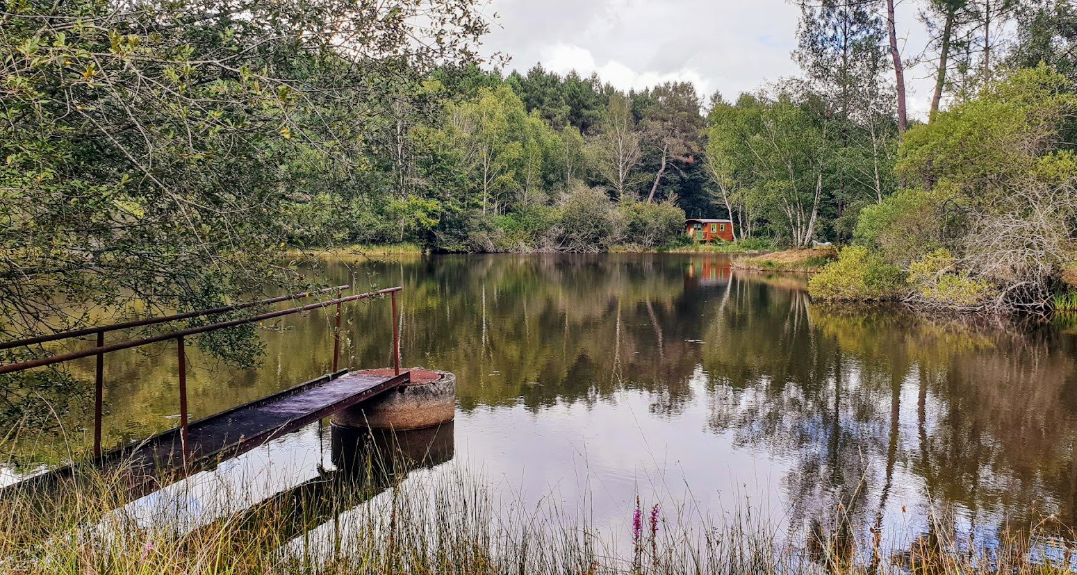 GreenGo location vacances écoresponsables
