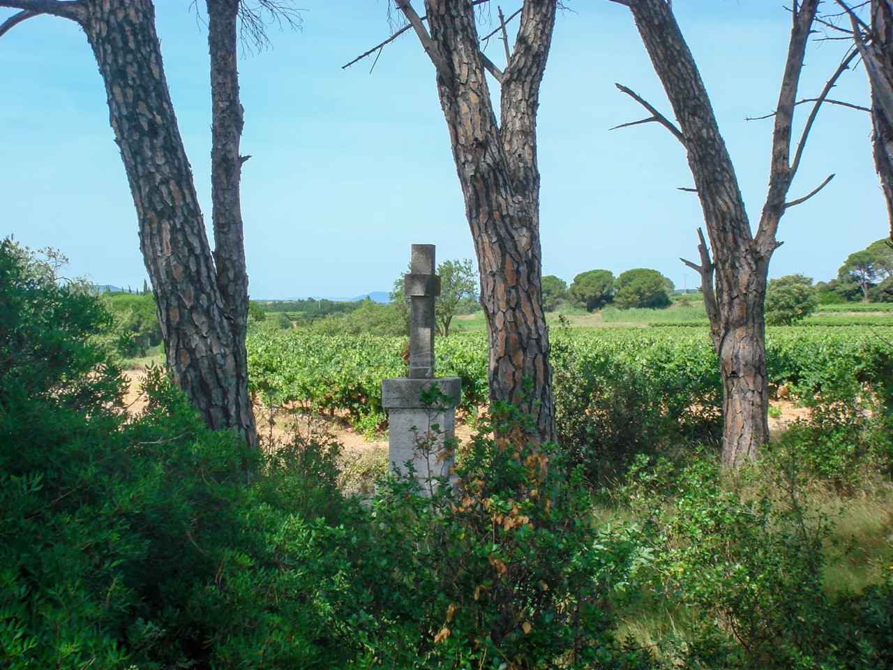 Hérault À la campagne