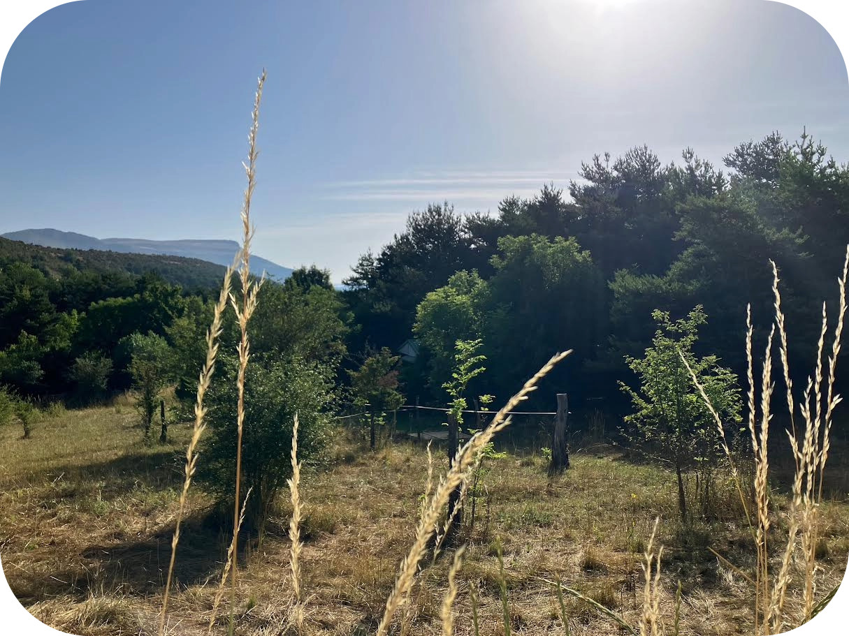 GreenGo Espace Shunyata Verdon Silence