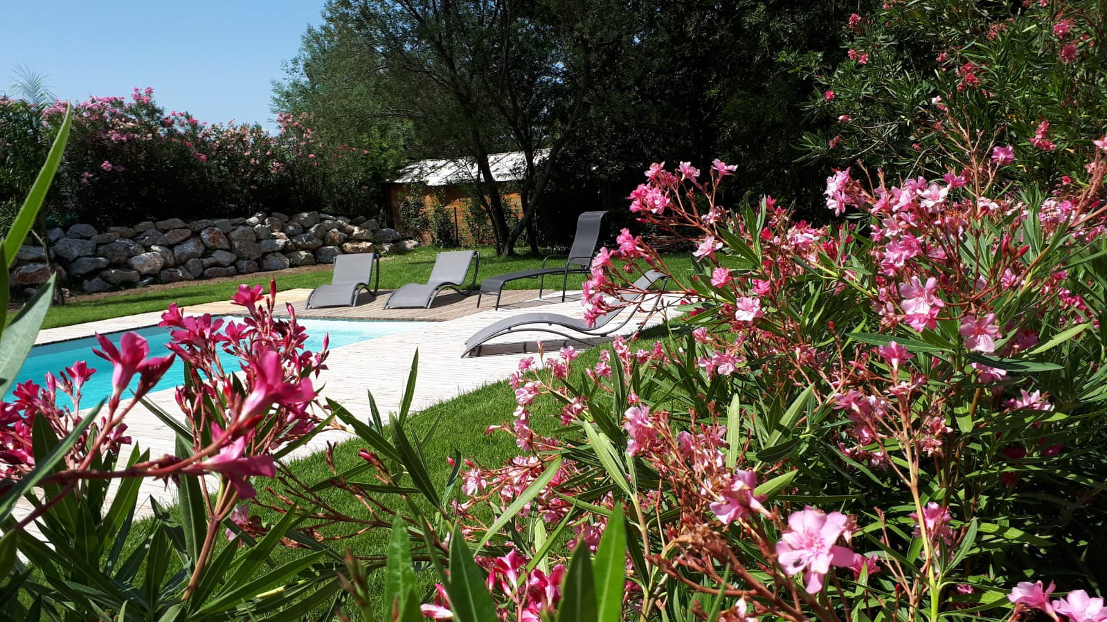 GreenGo location vacances écoresponsables