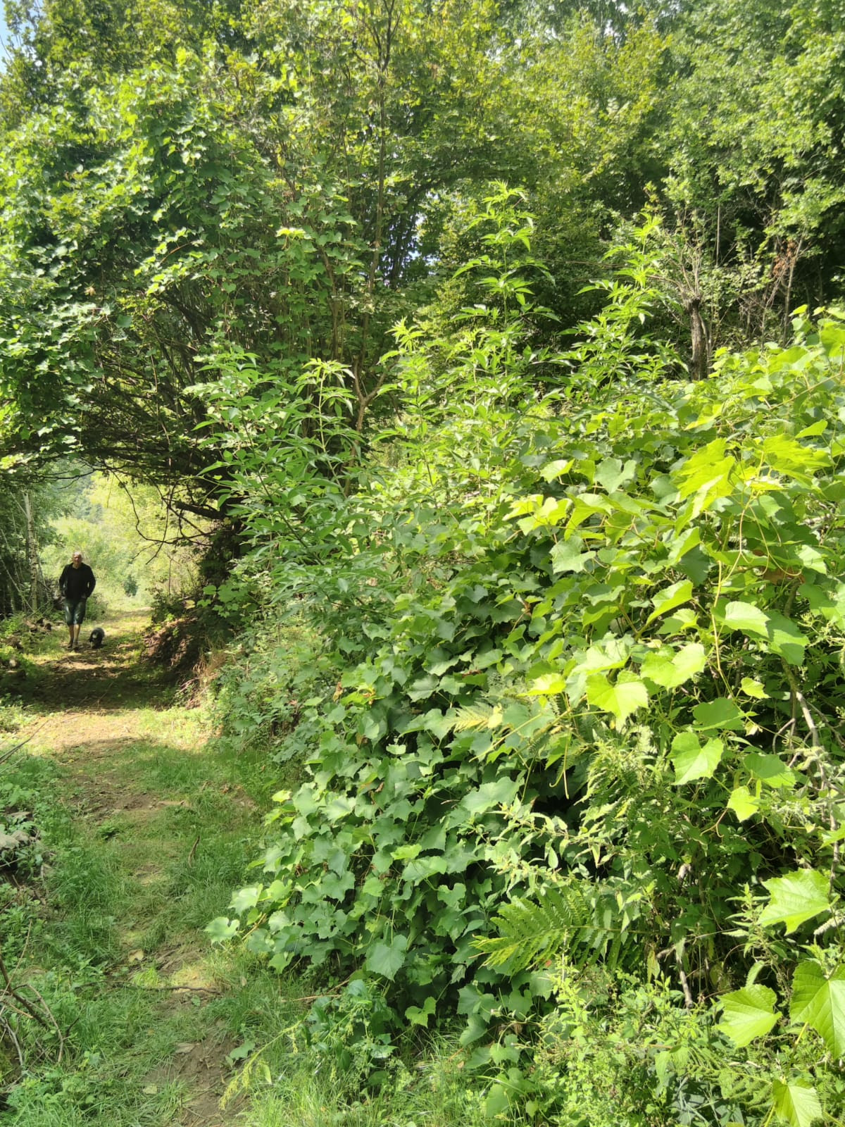 Camping Ardèche Glamping