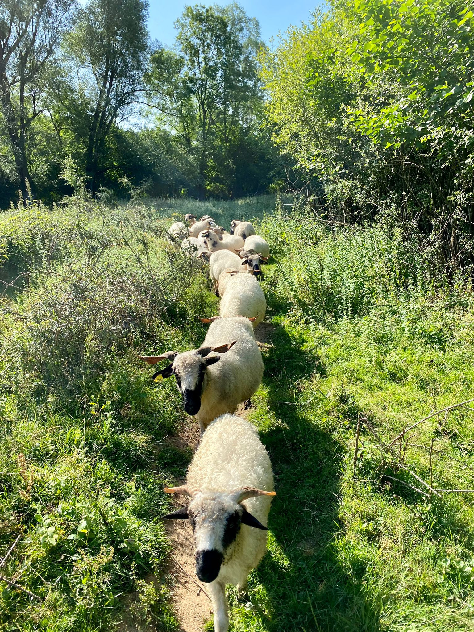 GreenGo Ferme de Priroda