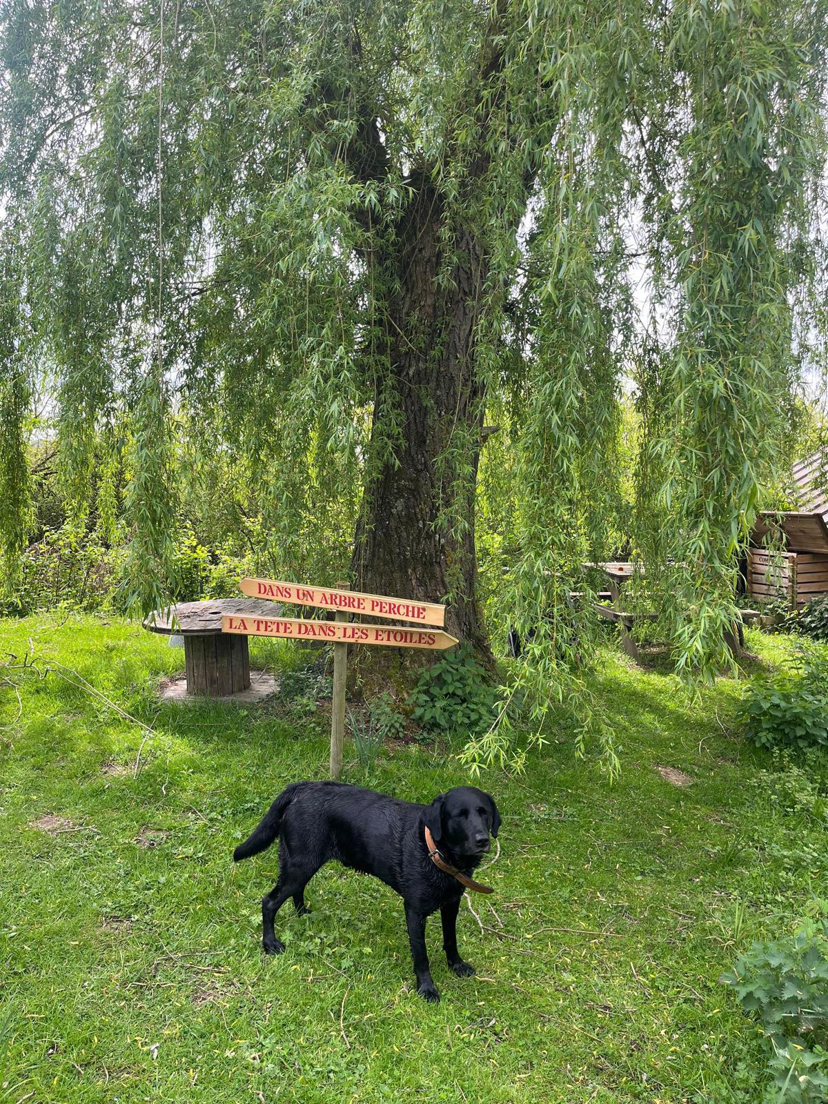 GreenGo Logement insolite Hauts-de-France Évasion