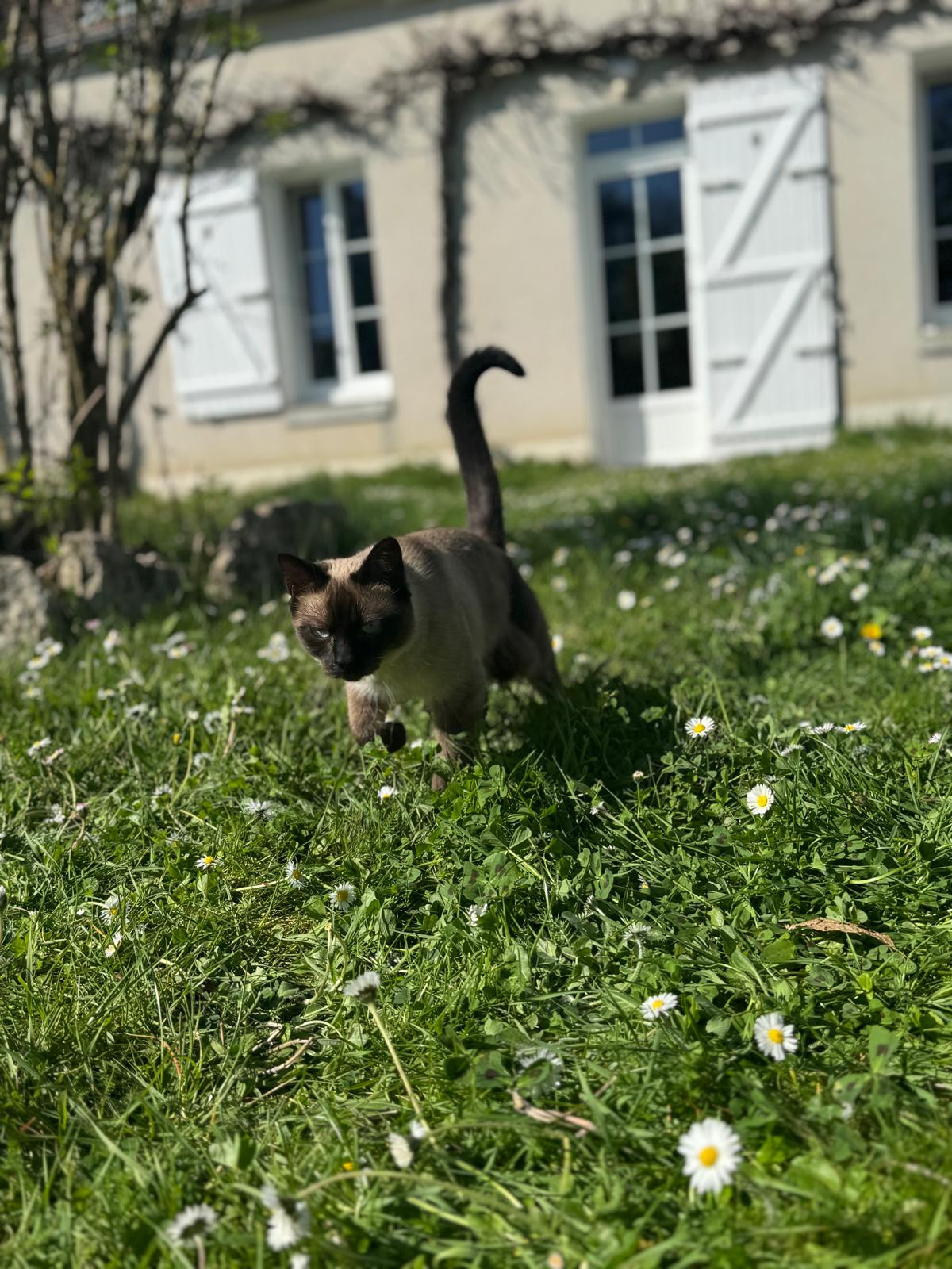 GreenGo location vacances écoresponsables
