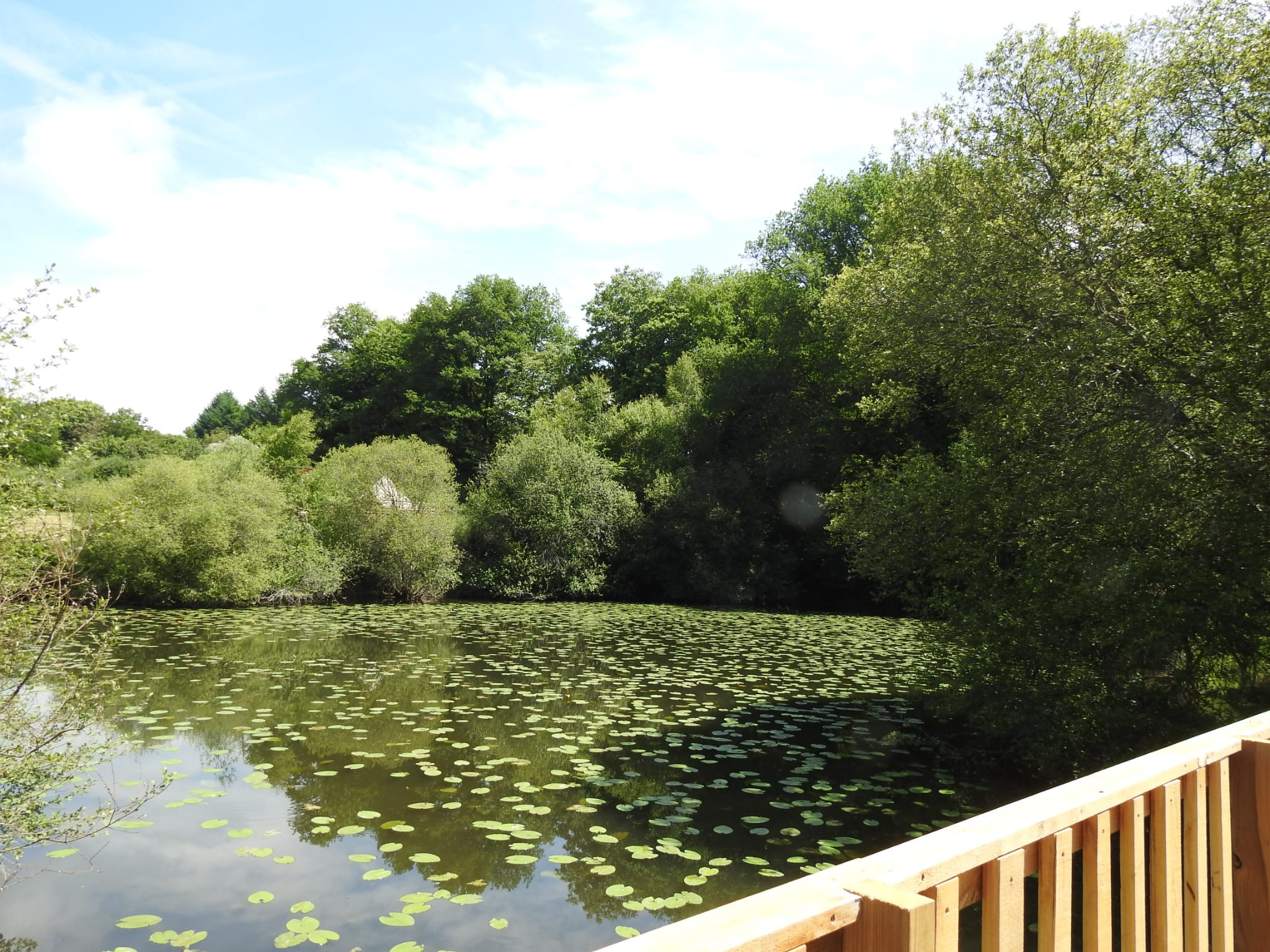 GreenGo Chambre d’hôtes Nouvelle-Aquitaine Glamping