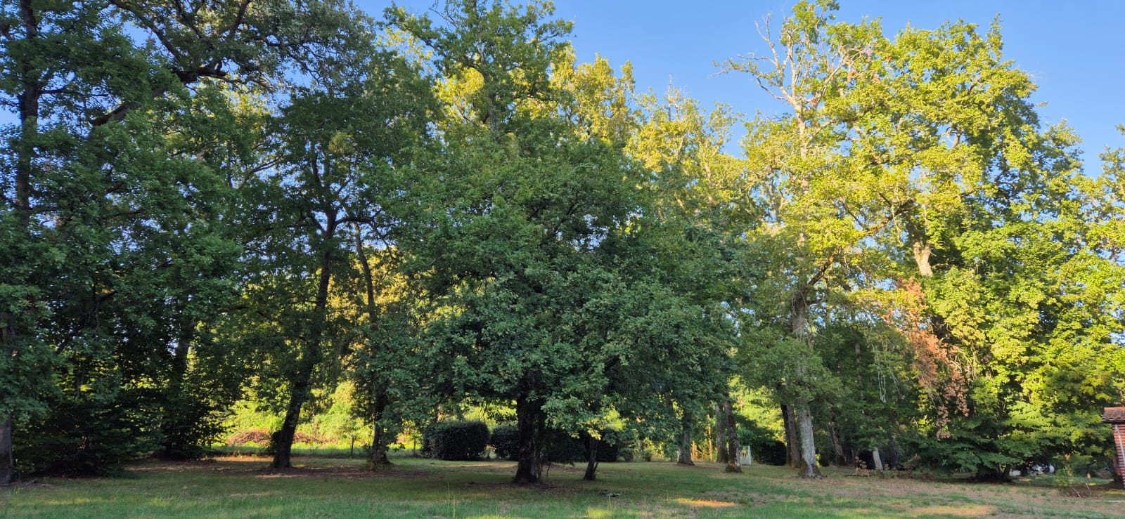 Domaine Kurmi