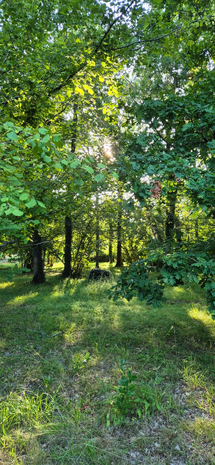 GreenGo location vacances écoresponsables
