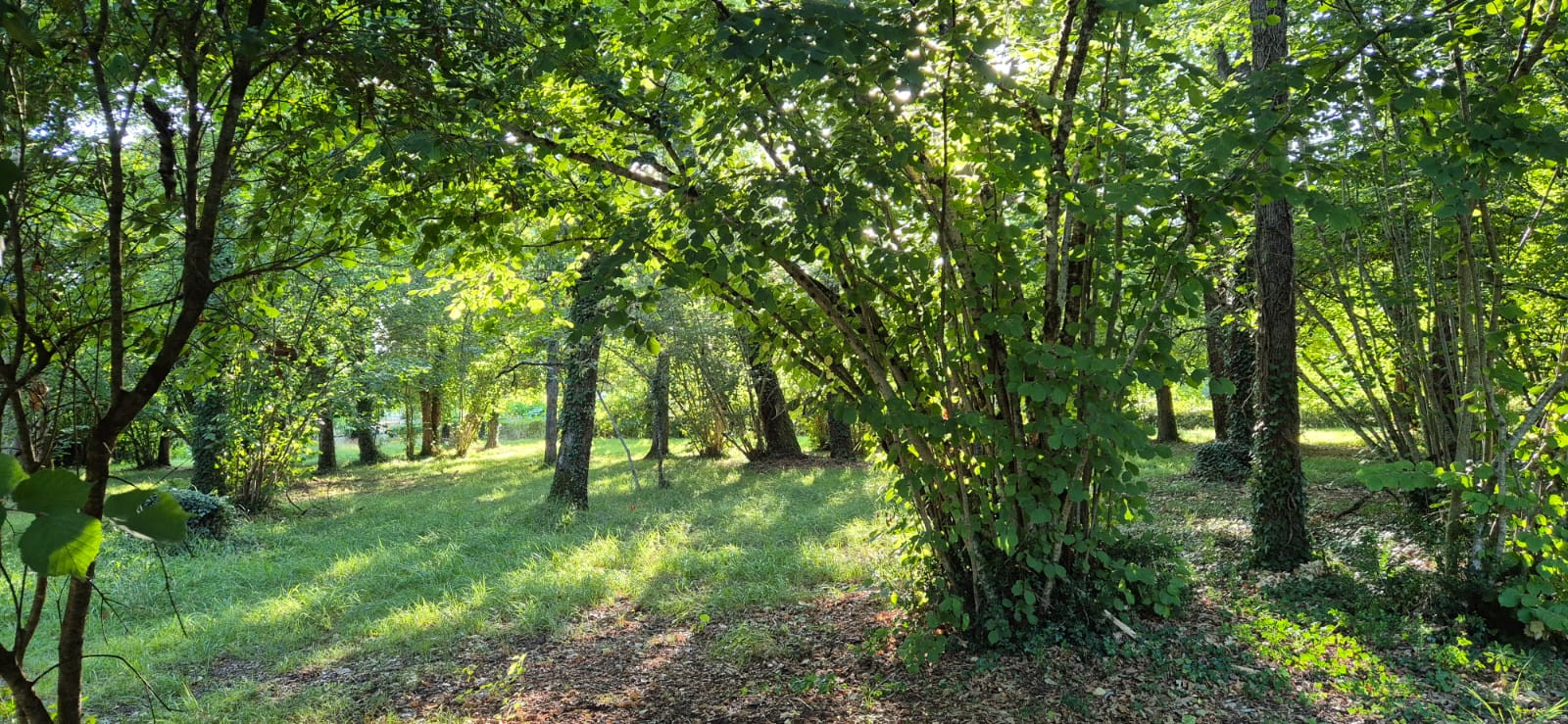 GreenGo Gîte Nouvelle-Aquitaine Évasion