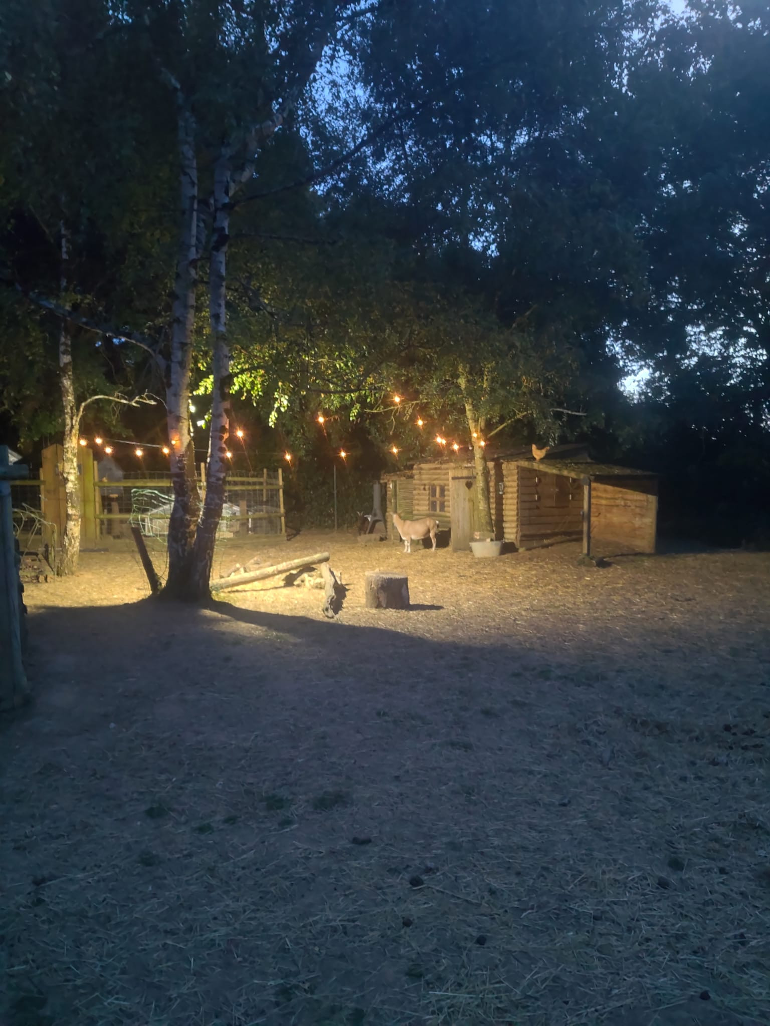  Charente-Maritime Glamping