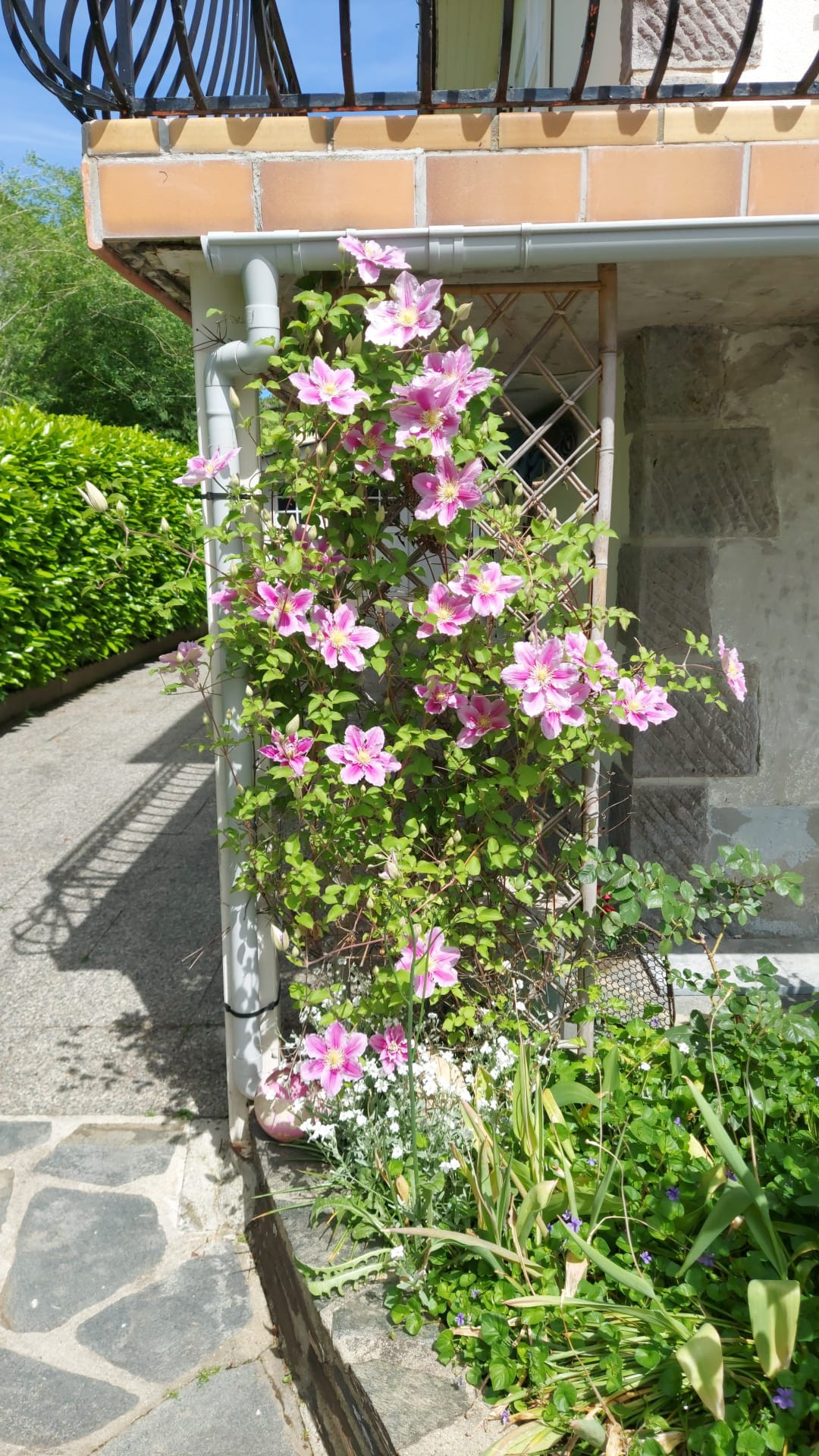 Cantal En ville