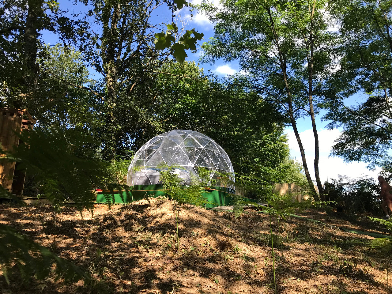 Bulle en nature Landaise