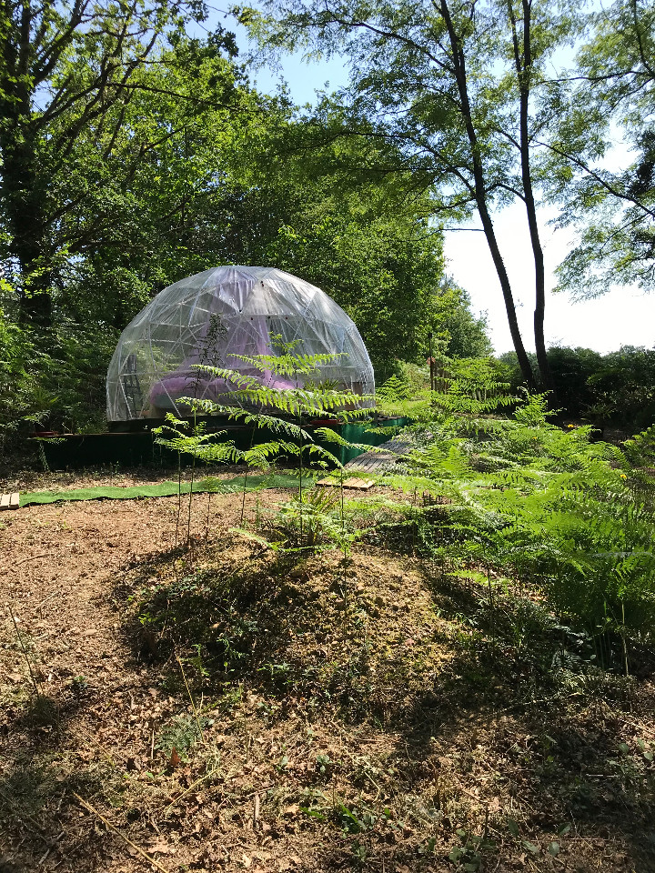 GreenGo Bulle en nature Landaise