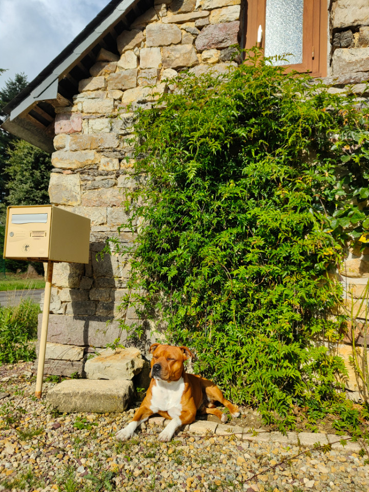 Ille-et-Vilaine À la campagne