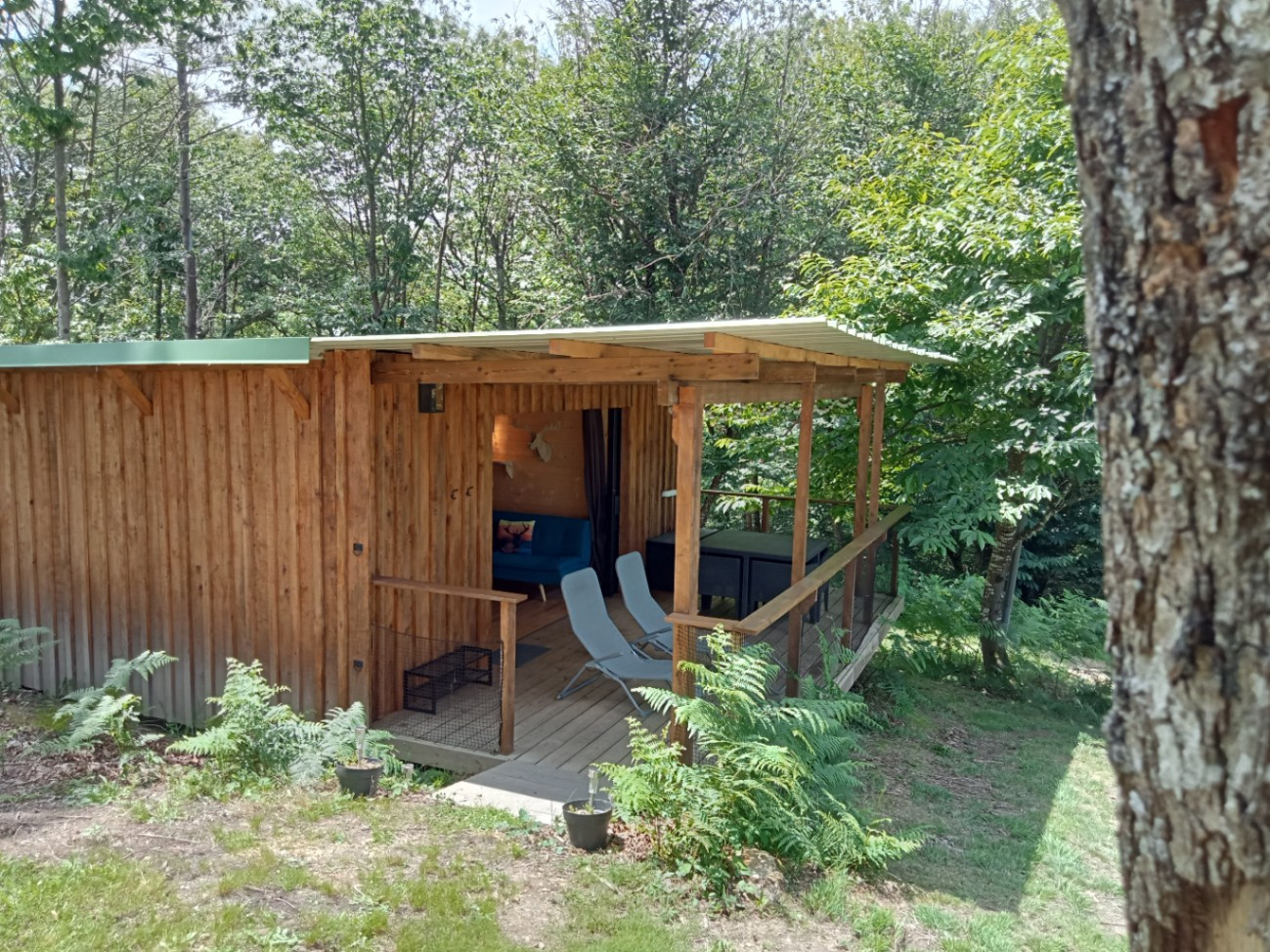 Les Cabanes de Brocas, une pause nature entre forêt et océan