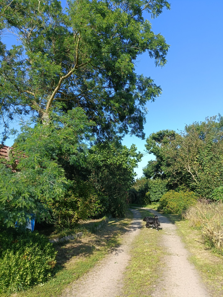 GreenGo location vacances écoresponsables