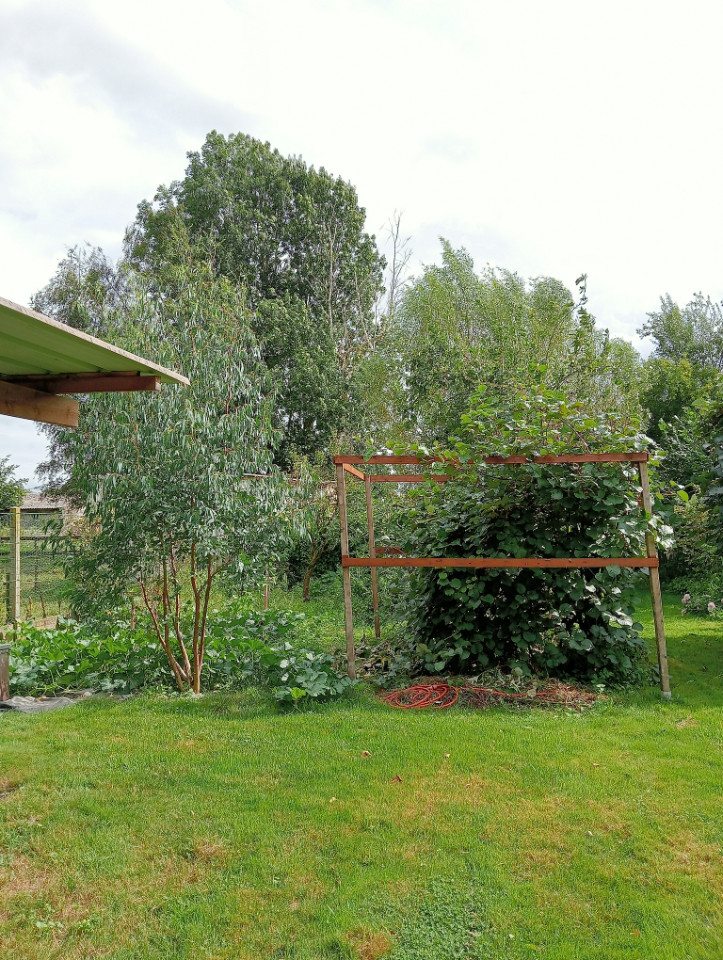 Nord En forêt