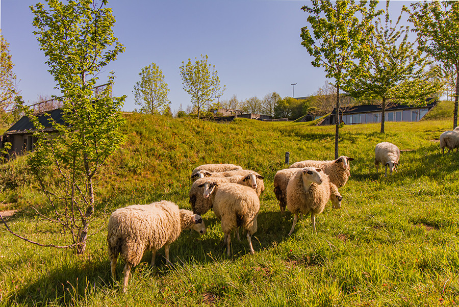Location Corrèze Gîte de groupe