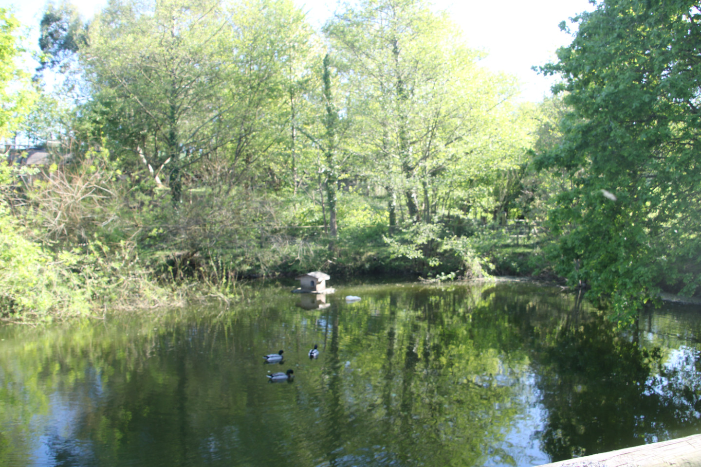 GreenGo Gîte de banoun maison spacieuse proche mer