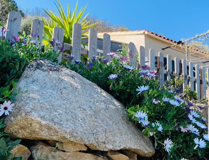  Haute-Corse À la campagne