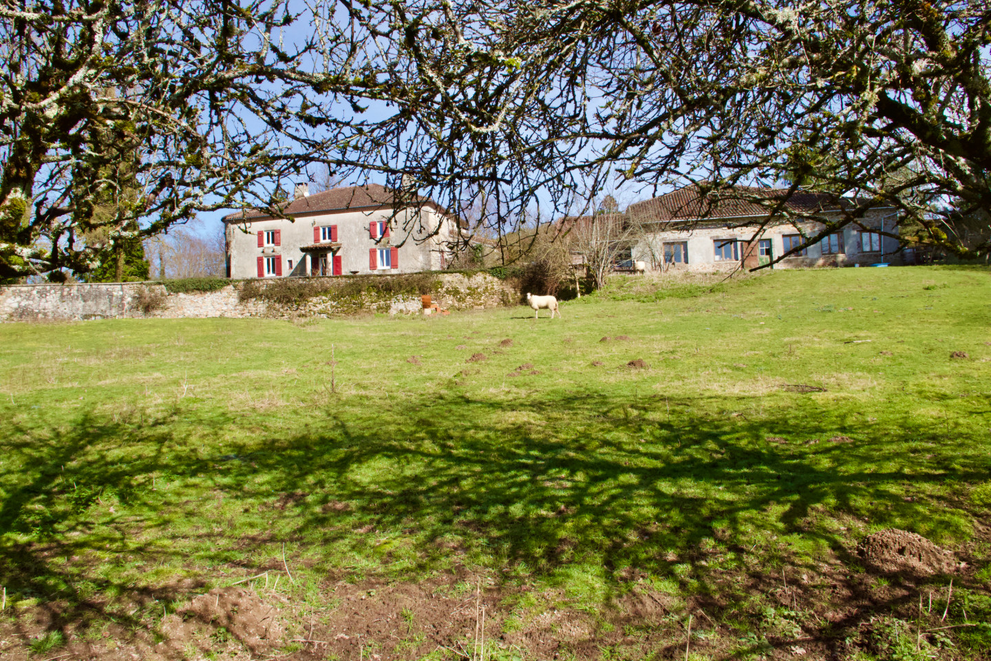 GreenGo location vacances écoresponsables