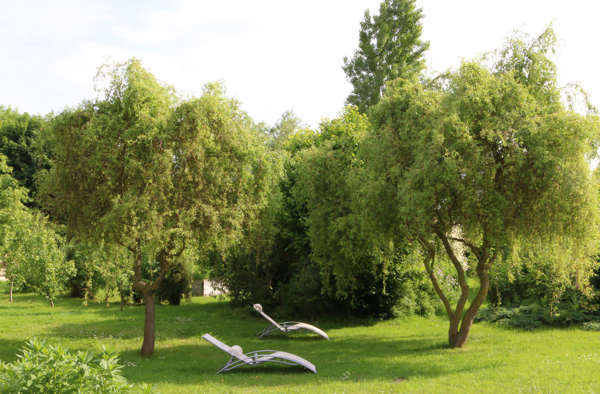 GreenGo location vacances écoresponsables