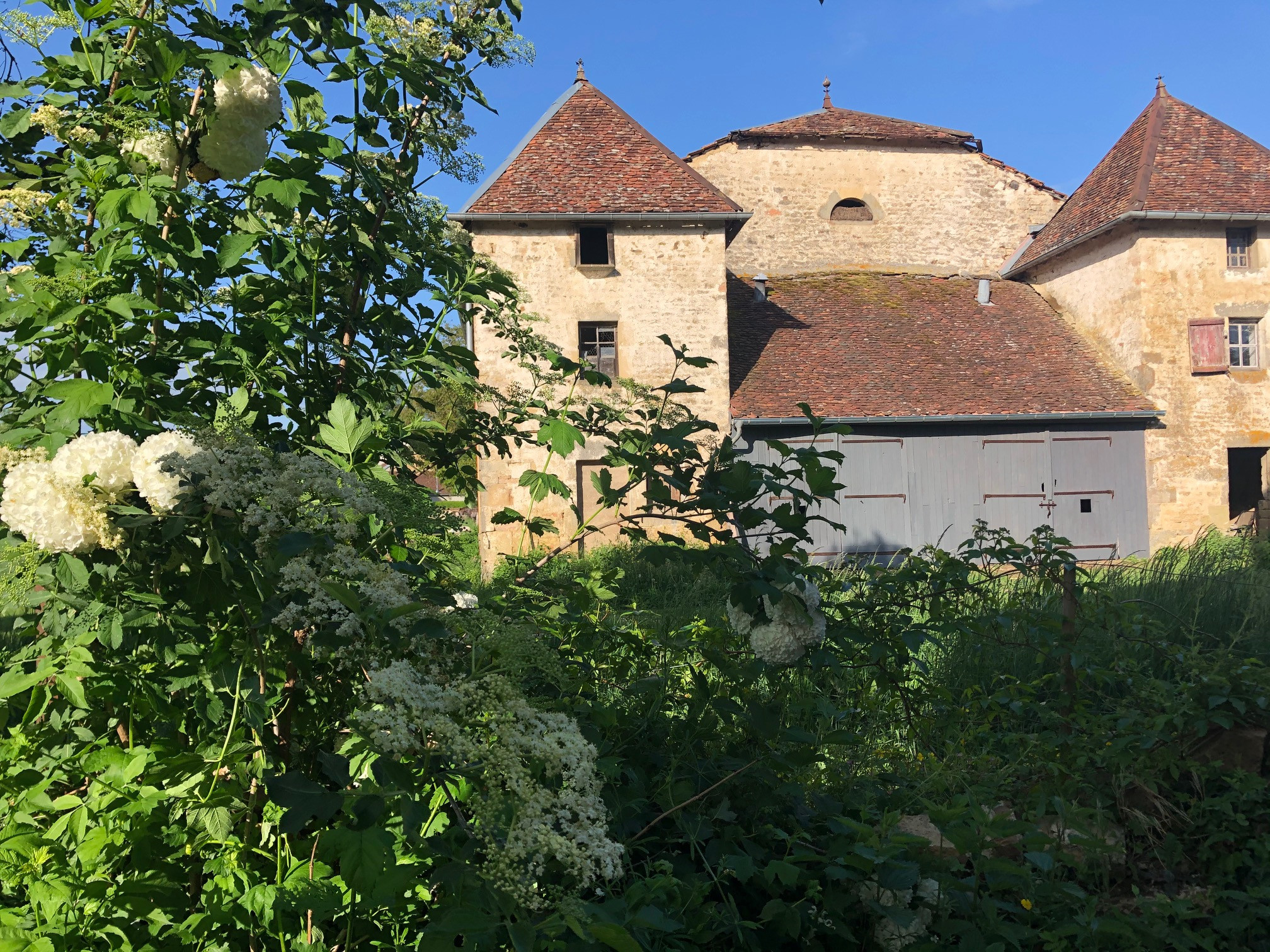 Logement insolite Haute-Marne En ville