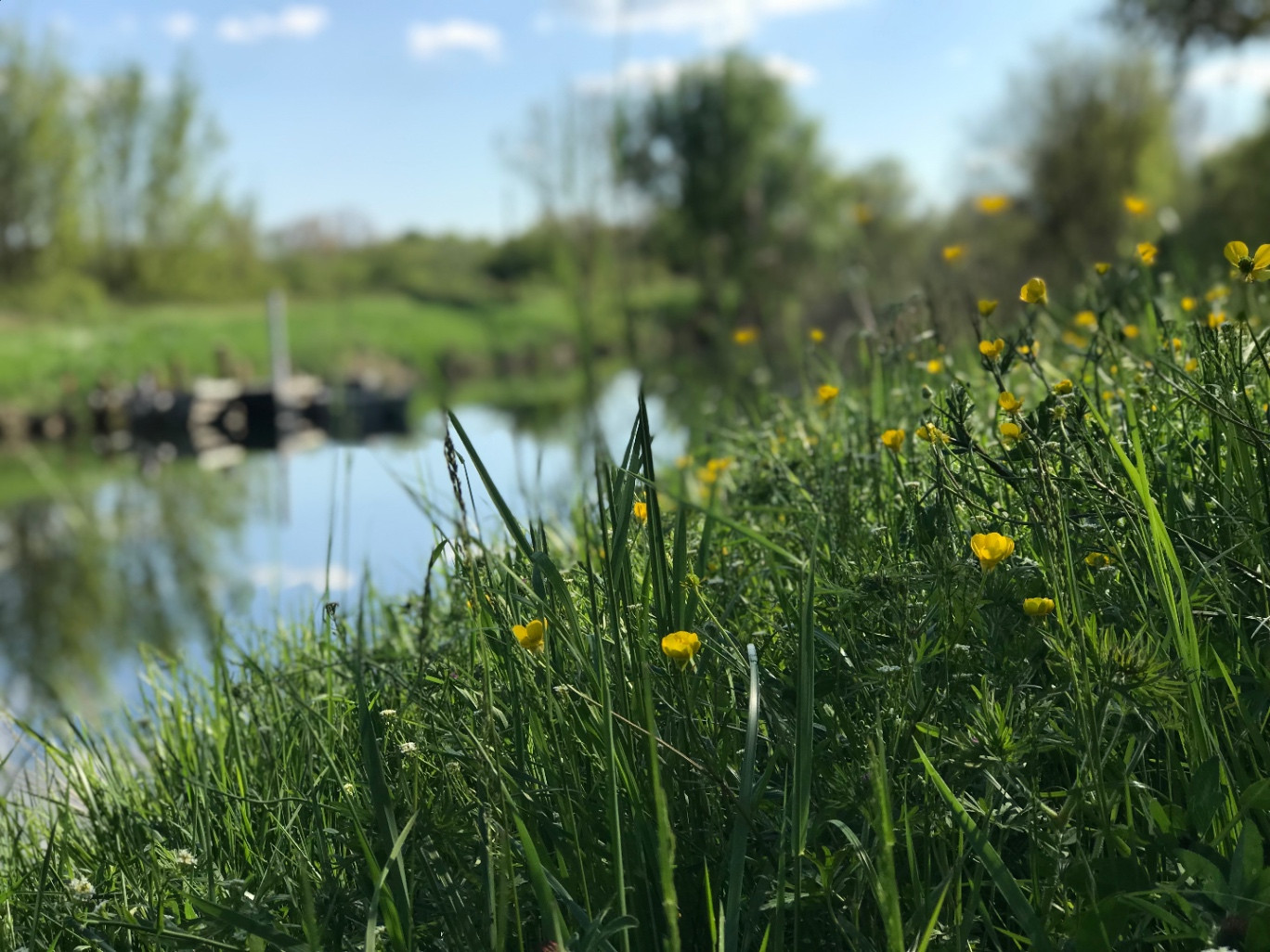 Charente-Maritime Bien-être