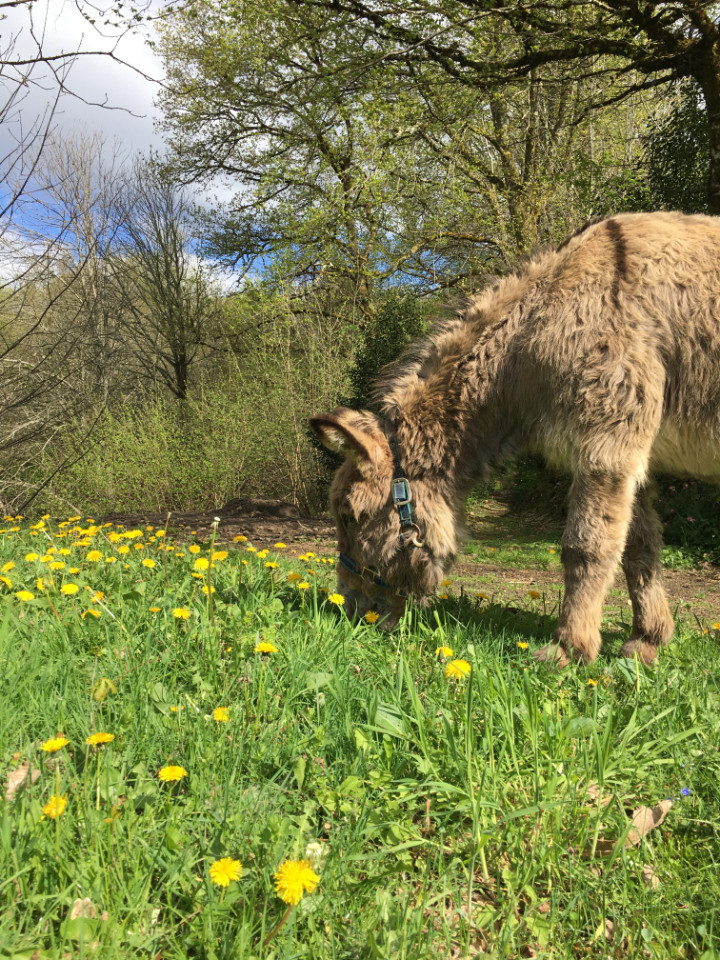 GreenGo Gîte Nouvelle-Aquitaine Évasion
