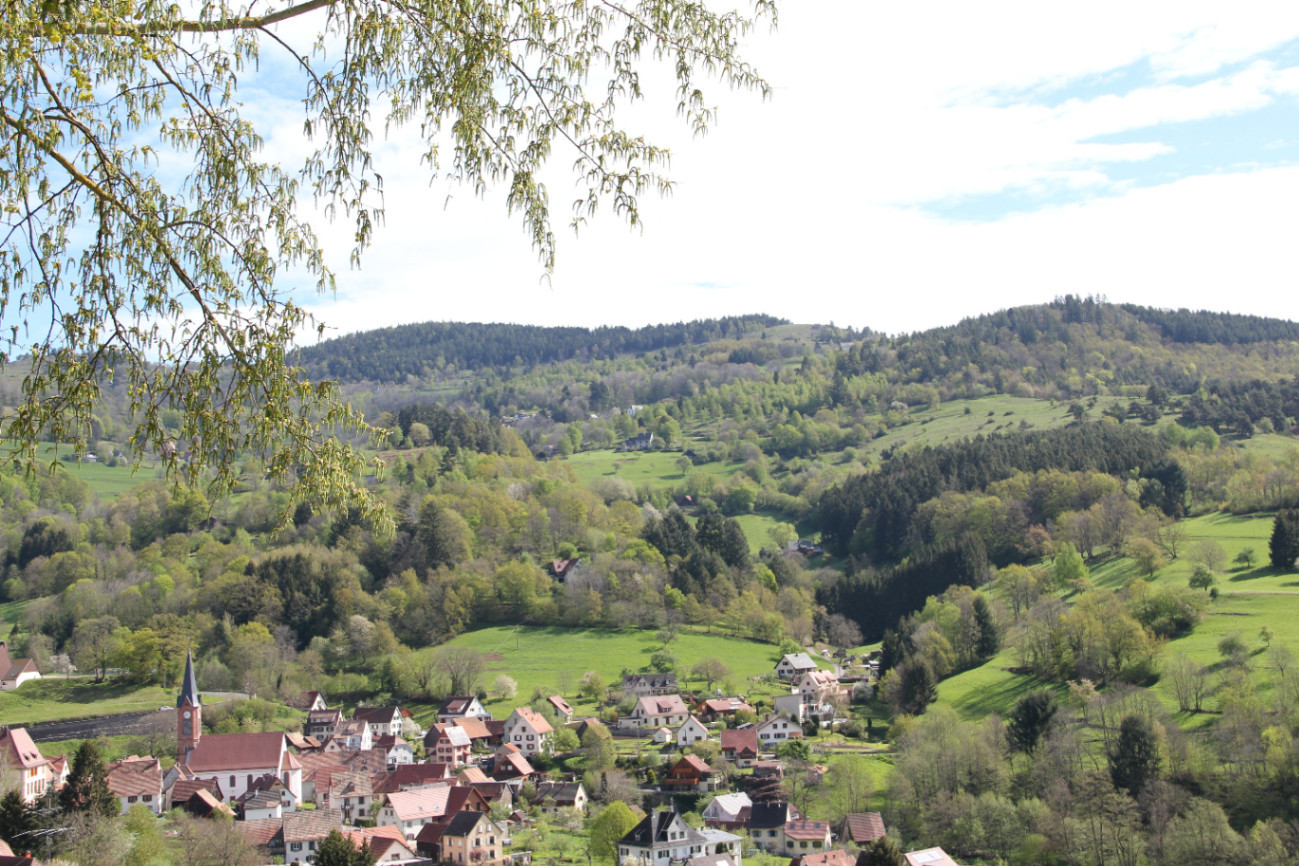 GreenGo Au Vieux Tilleul