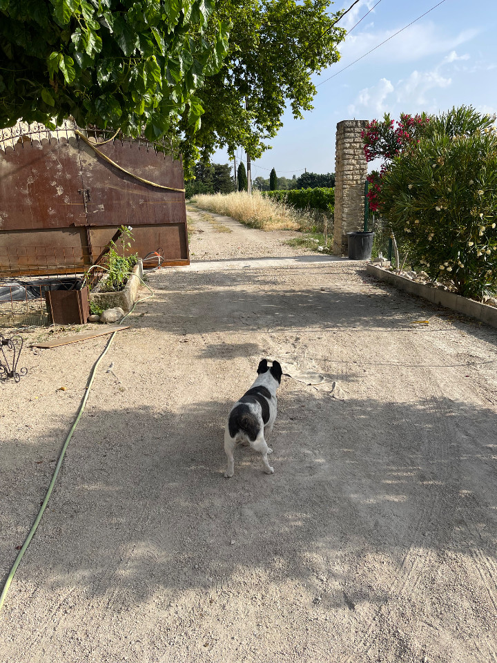 Location Vaucluse Romantique