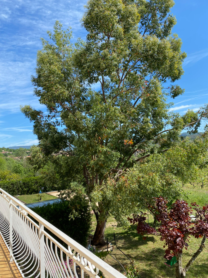 GreenGo Gîte Auvergne-Rhône-Alpes À la campagne