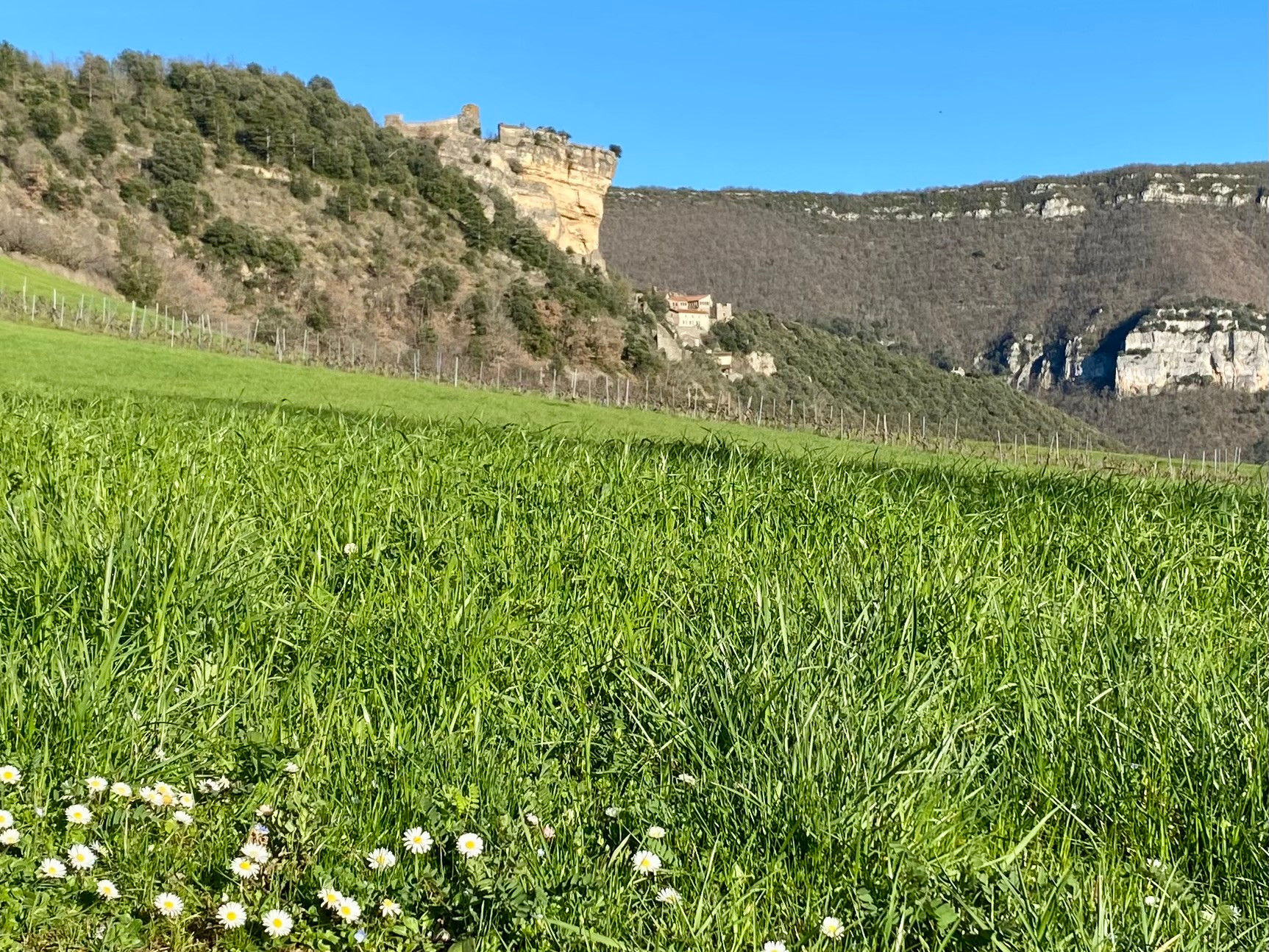 GreenGo Gîte Occitanie Authentique