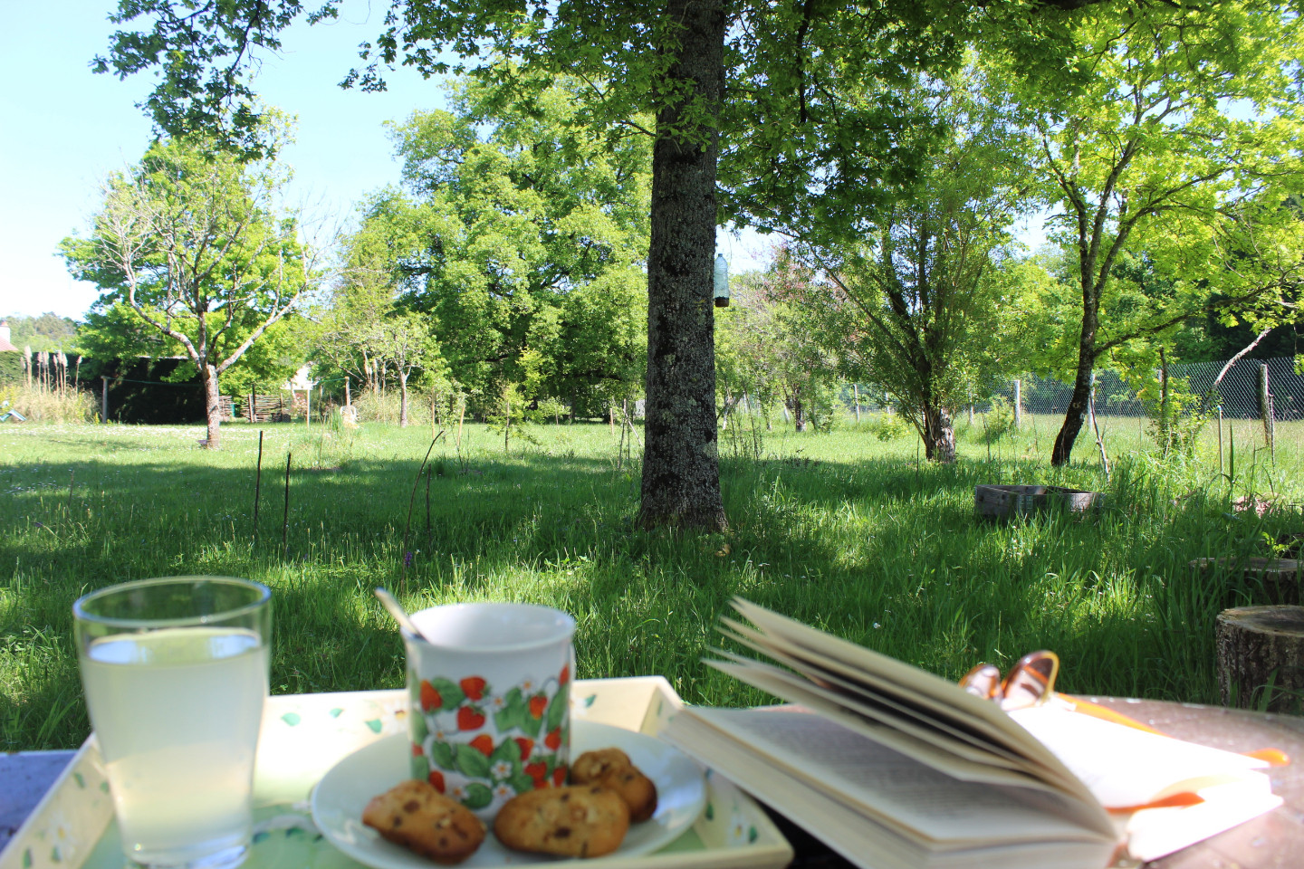 GreenGo location vacances écoresponsables