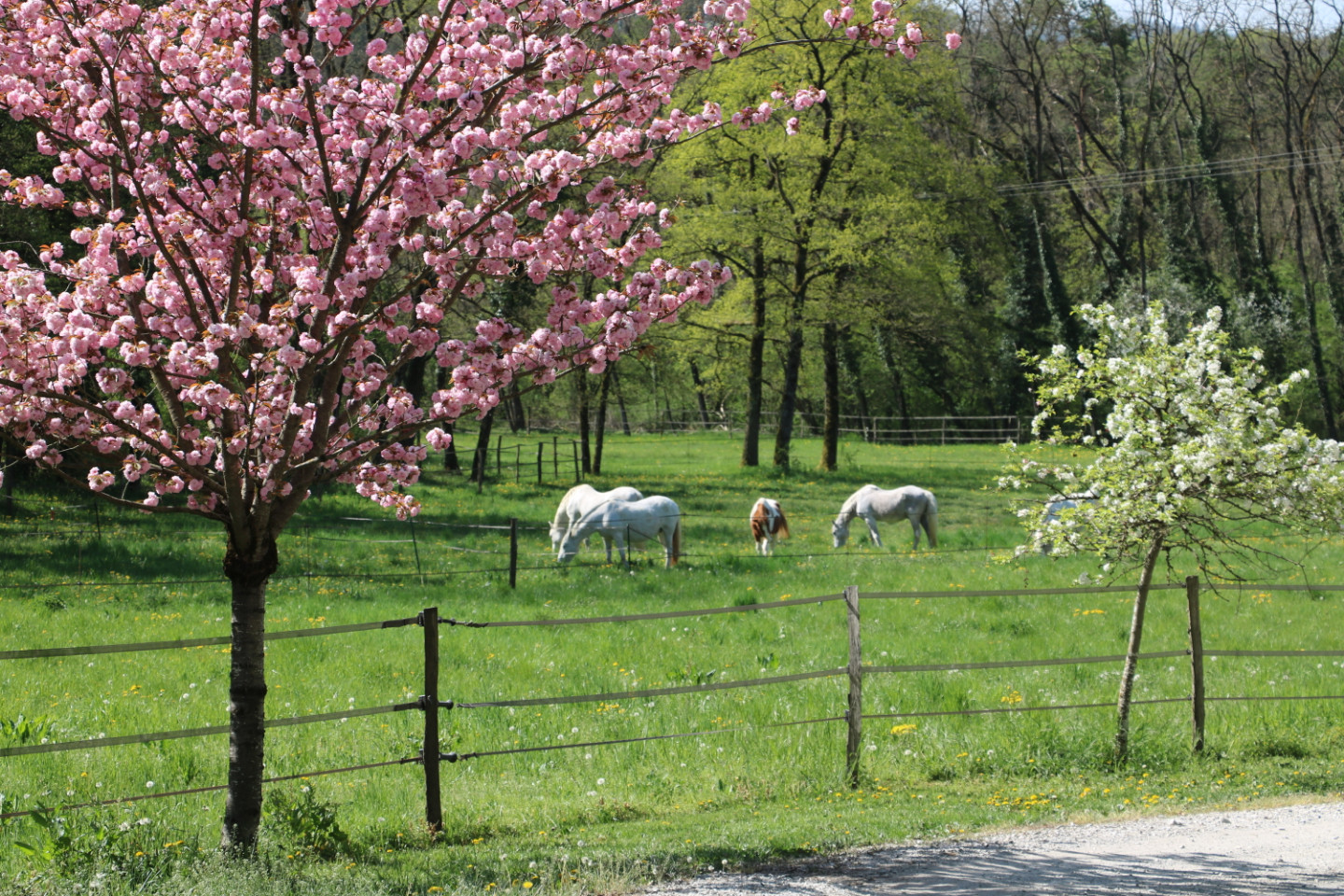 Haute-Savoie Haut-de-gamme