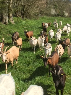 GreenGo La ferme d’etiennette